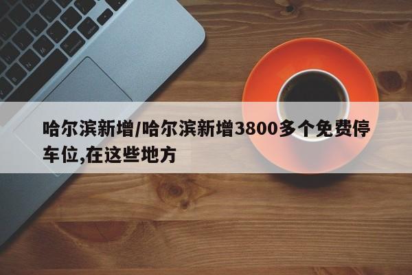 哈尔滨新增/哈尔滨新增3800多个免费停车位,在这些地方